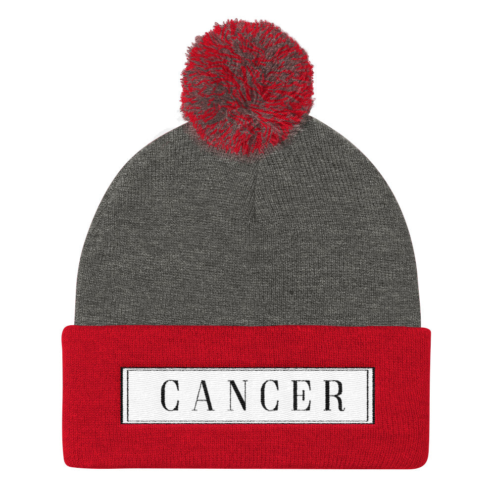 Cancer Pom Pom Knit Cap