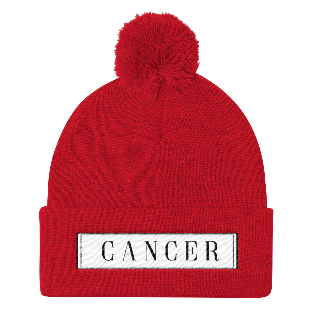 Cancer Pom Pom Knit Cap