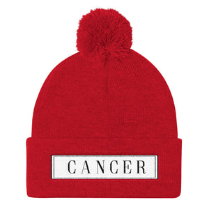 Cancer Pom Pom Knit Cap